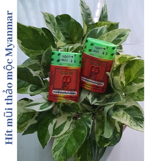 Ống hít thông mũi thảo mộc Myanmar