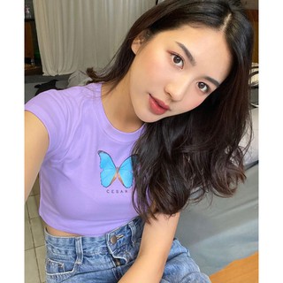 Áo croptop thun lụa hình bươm bướm