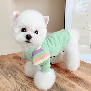 Áo cho thú cưng