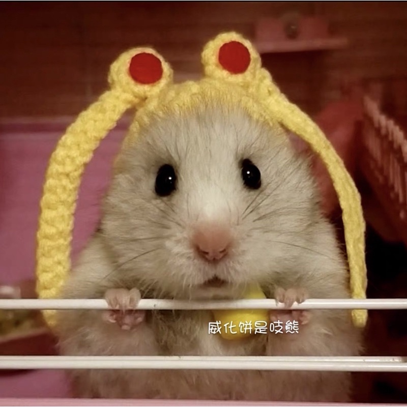 mũ nón hamster thuỷ thủ mặt trăng