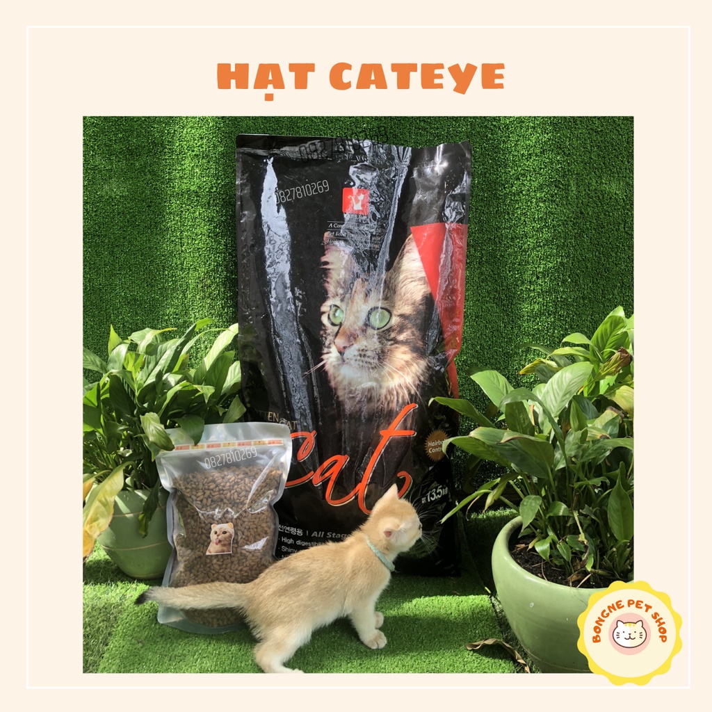 Hạt thức ăn cho mèo Cateye