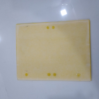 10 Miếng Bẫy Côn Trùng, Ruồi Vàng