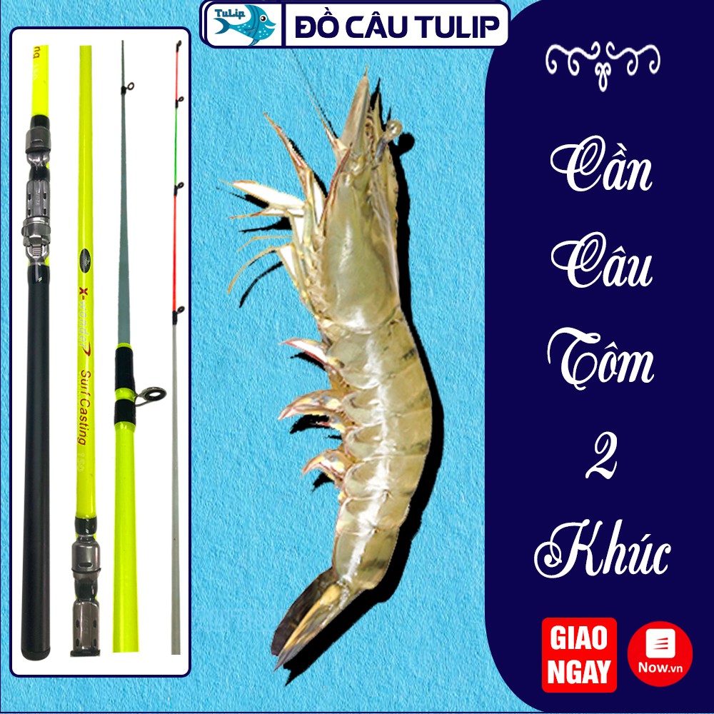 Cần Câu Tôm Siêu Dẻo SURF CASTING 2 Khúc Giá rẻ - Cần Câu Máy Siêu Bạo Lực Cần Câu Cá, Mực, Tôm Càng Xanh- Đồ Câu TuLip