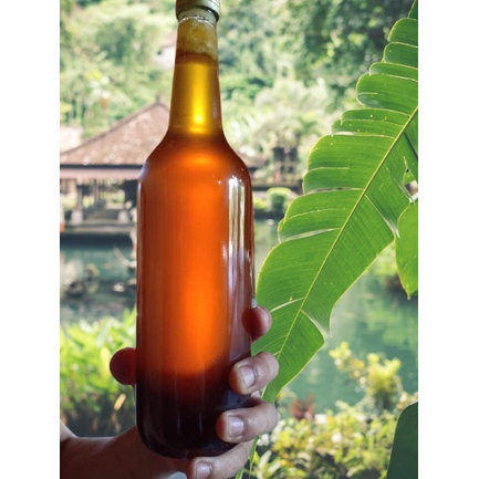 Mật ong rừng già nguyên chất