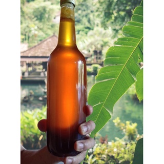 Mật ong rừng già nguyên chất