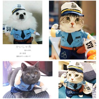 Đồ Mặc Cho Mèo Hình Dễ Thương
