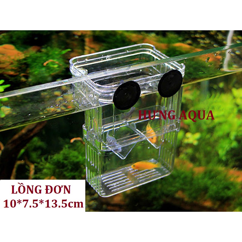 Lồng đẻ cho cá cảnh, lồng dưỡng cá, cách lý cá loại đơn và đôi