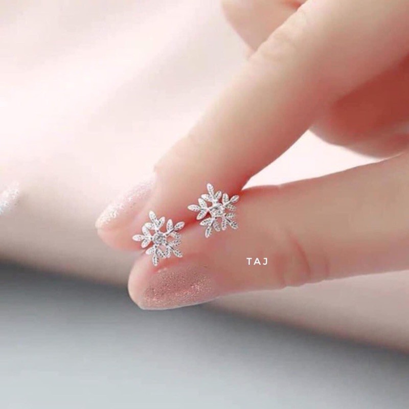 Bông tuyết bạc ta