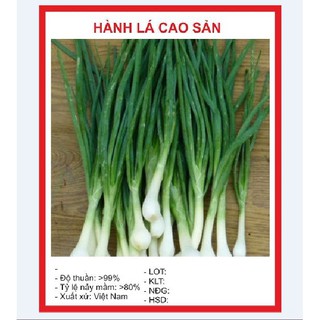 Combo 9 gói hạt giống rau thơm dễ trồng