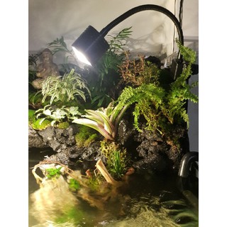 Đèn Rọi Thủy Sinh 5w 7w Bật Tắt 3 Chế Độ Màu- Đèn Biotop