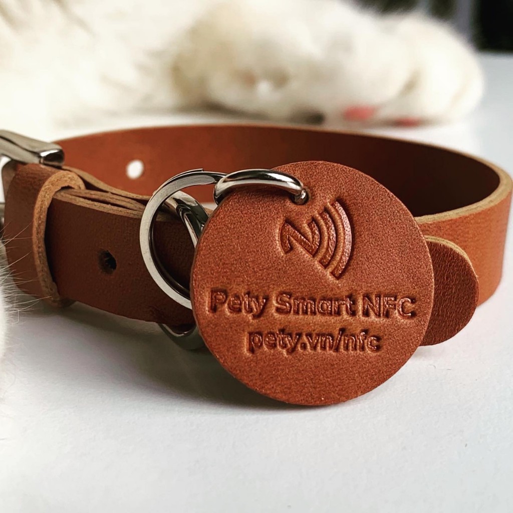 Vòng cổ cho chó có chip định danh và hỗ trợ tìm kiếm khi lạc - Pety Smart NFC