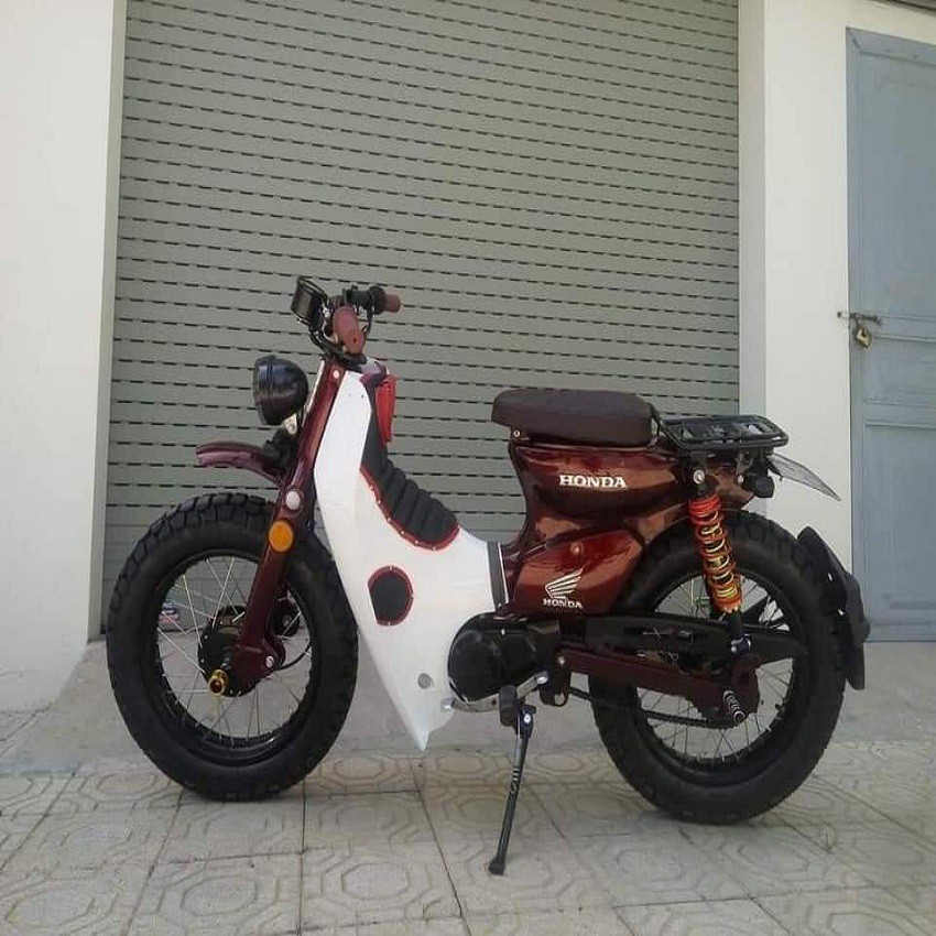 Baga sau cub độ nhỏ gọn hàng đẹp bằng sắt sơn tĩnh điện cao cấp