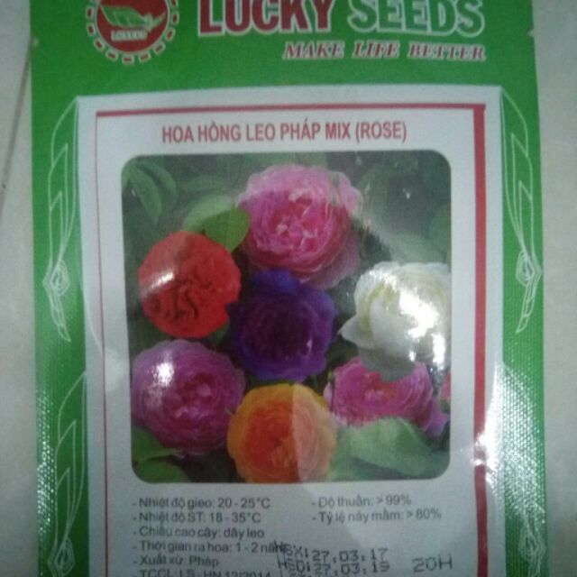 Hạt giống hoa hồng leo pháp mix ( ROSE )