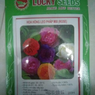 Hạt giống hoa hồng leo pháp mix ( ROSE )