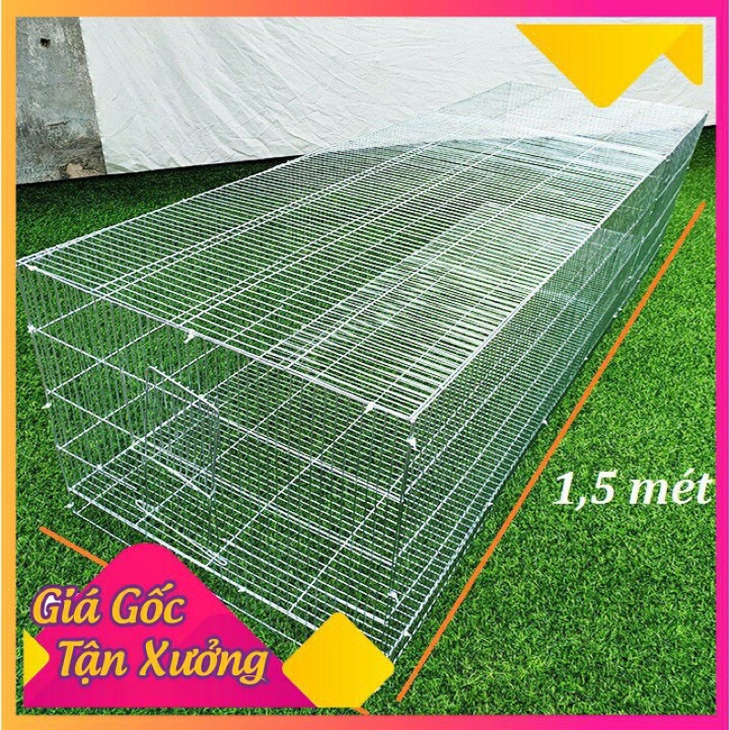 Lồng tập lực chim