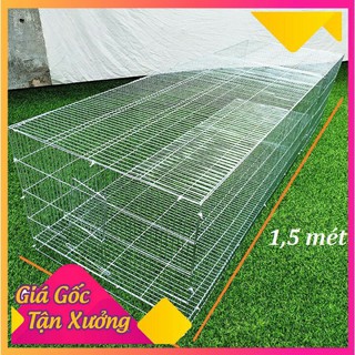 Lồng tập lực chim