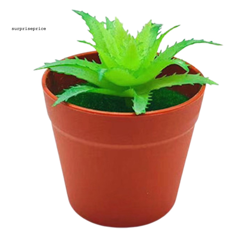 Chậu Cây Cảnh Nhân Tạo Sống Động Dùng Trang Trí