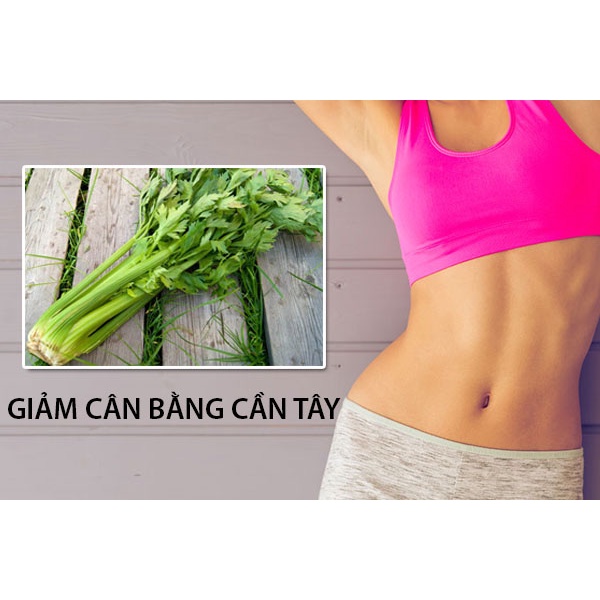 Bột cần tây sấy lạnh nguyên chất 100% (gói 2,5g) - Giúp giảm cân, giảm mỡ máu, mỡ nội tạng, bảo vệ tim mạch