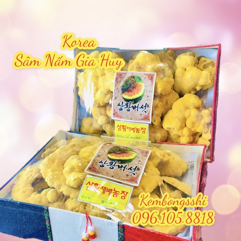 [HÀNG MỚI] Nấm Thượng Hoàng Hộp Cờ Hàn Quốc, Hộp 500gr