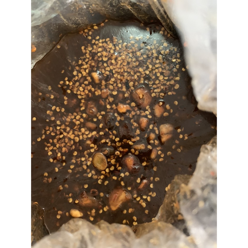 Nước Sốt Mắm Me chấm bánh tráng nguyên chất Tây Ninh cực ngon!