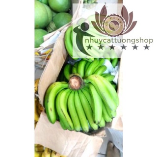Chuối laba Đà Lạt thơm ngon dẻo bùi, hảo hạng