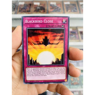 Thẻ Bài YugiOh! Mã LDS2-EN046 - Blackbird Close - Common - 1st Edition
