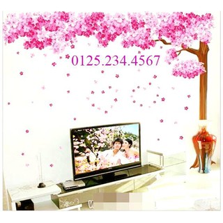 Decal dán tường Cây anh đào to