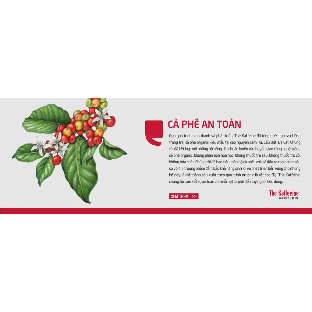 Cà phê Culi Robusta thượng hạng 5KG_The Kaffeine Coffee_Cà phê sỉ dành cho quán_Chuyên bỏ sỉ giá tốt