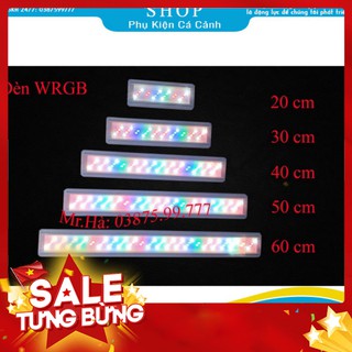 Đèn thuỷ sinh ❤️freeship❤️ đèn led cho bể cá, bể thủy sinh 3 chế độ sáng 20cm, 30cm, 40cm, 50cm 60cm
