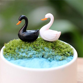 Phụ kiện tiểu cảnh - Thiên nga - 2 con