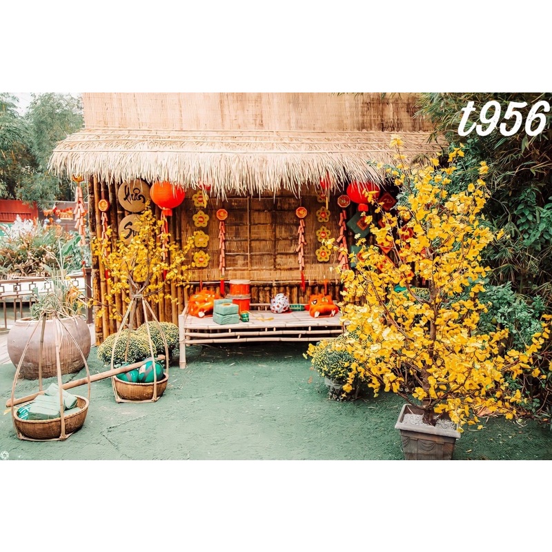 Phông nền chụp ảnh mã T956