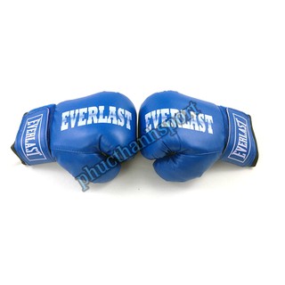Găng đấm boxing 10oz Everlast (Xanh)