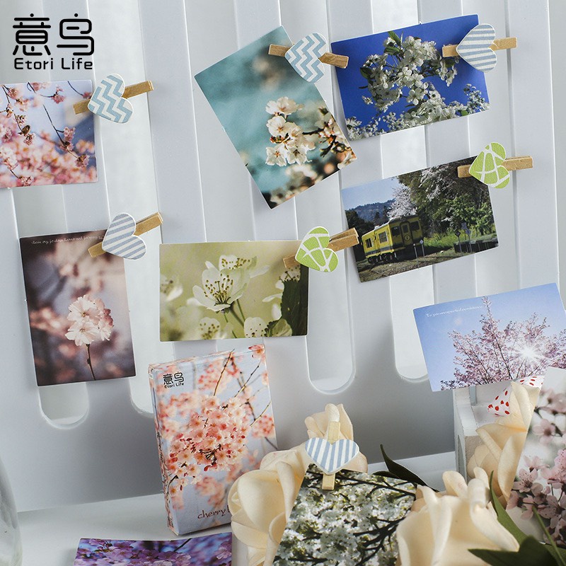 Bộ postcard mini hình hoa đào sang trọng (30 Hình - 4.4 x 6.4cm)