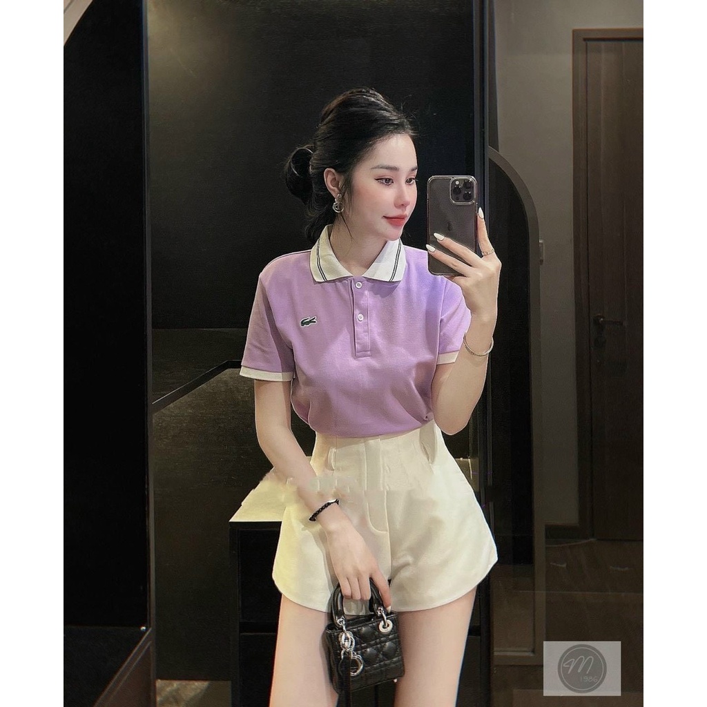 ✨BÁN SỈ✨Polo cá sấu màu tím chất đẹp