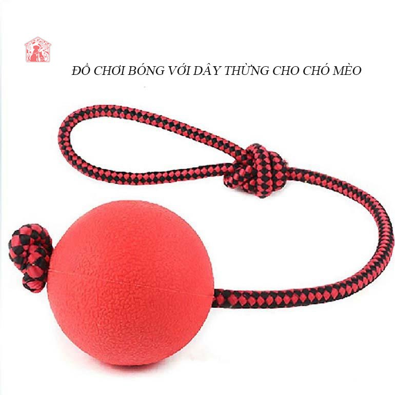 BÓNG THỪNG ĐỒ CHƠI CHO CHÓ MÈO đường kính bóng 5cm