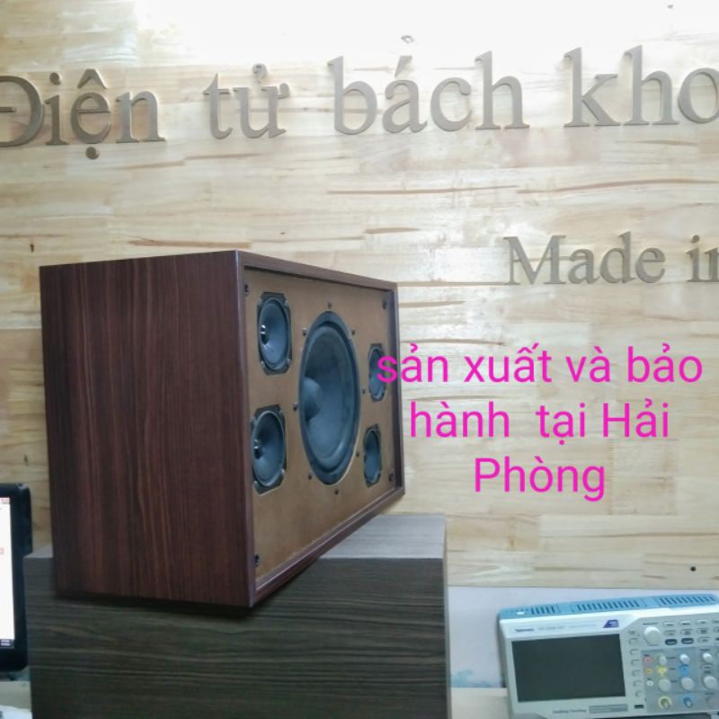 Đôi loa hát karaoke, nghe nhạc bass 20cm, treble giấy