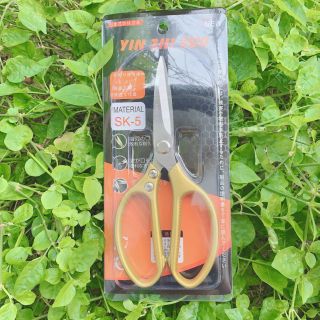kéo nhật bản sk5