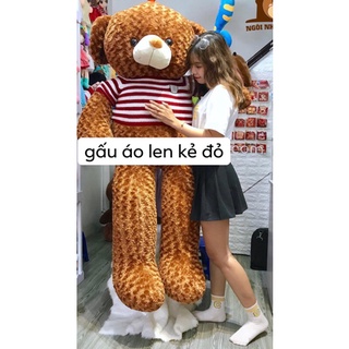 gấu tedy 1m6