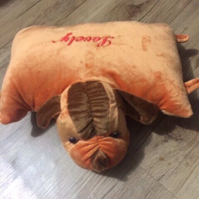 GỐI ĐI XE MÁY CHO BÉ