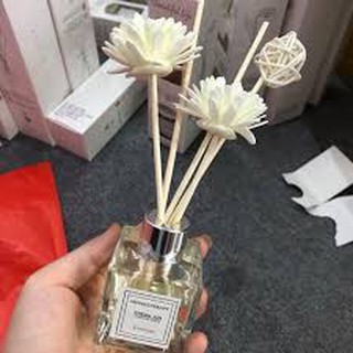 COMBO 30 TINH DẦU THƠM PHÒNG THÁI LAN