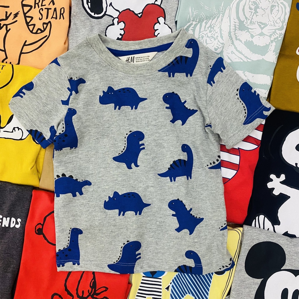 Áo phông bé trai xuất dư thun cotton/ Áo thun bé trai cộc tay 1 tuổi đến 5 tuổi - ATM - Bebefamilyshop