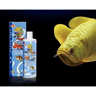 CHAI SỐ 4 CHO CÁ RỒNG XỬ LÝ ĐỐM TRẮNG NẮM NHUNG CHO CÁ RỒNG