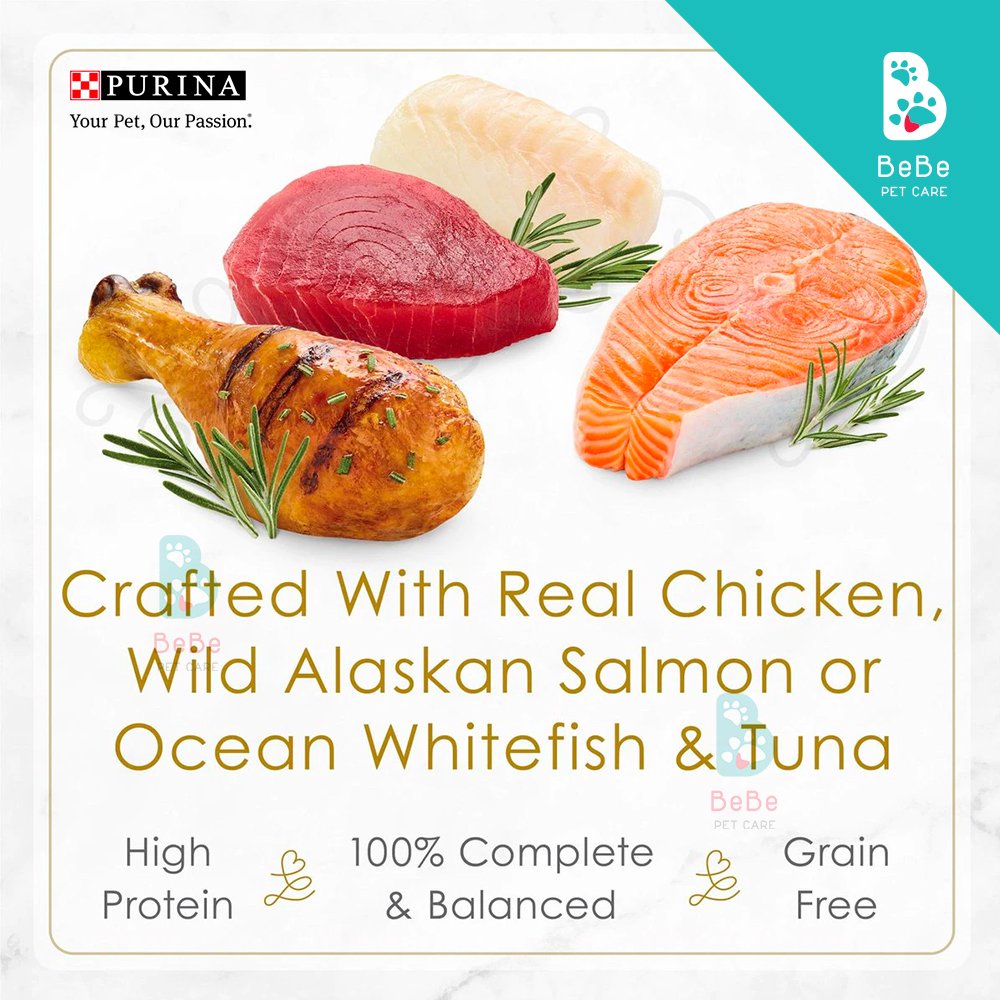 Pate FANCY FEAST Gourmet Peptites - Nhãn Hiệu Pate Cho Mèo Được Yêu Thích Trên Toàn Thế Giới - Nhập Khẩu Từ Mỹ