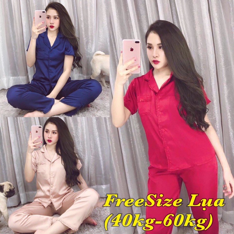 ( Freesize Lụa ) Đồ Bộ Pijama Lụa Đồ Bộ Nữ Đồ Bộ Mặc Nhà Đồ Bộ Tay Ngắn Quần Dài (From 40kg đến 60kg)