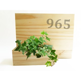 Bảng số nhà gỗ có khay để cây - gỗ thông KT D30xC25cm (Hộp cây 20x8cm)