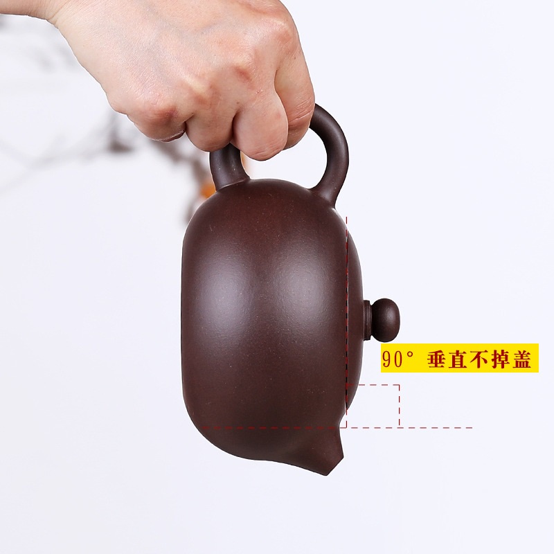 Ấm Tử Sa Nghi Hưng Tây Thi 300 ml (Tử Nê, Lọc 09 lỗ)