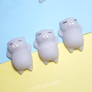 zSquishy Mochi Mèo Xámt