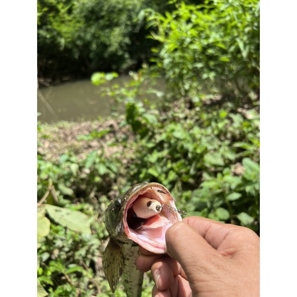 Nhái Hơi F1, F2 TNQ Ngọc Trinh 3,8cm, Mồi Giả Câu Cá Lóc Chất Lượng