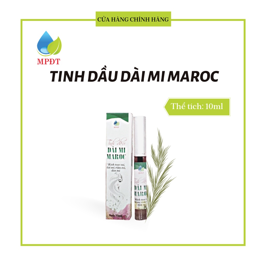 Tinh dầu dài mi Maroc dưỡng mi dài, dày đậm cho đôi mắt thêm long lanh, thu hút 10ml