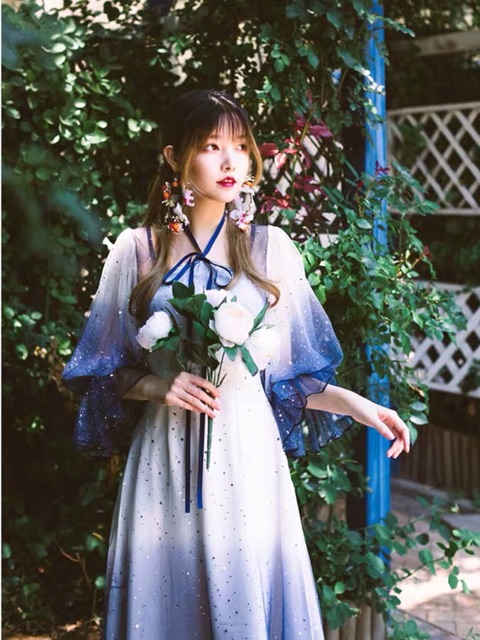 Dress/Đầm ombre sequin cao cấp